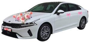 Xe hoa KIA K5