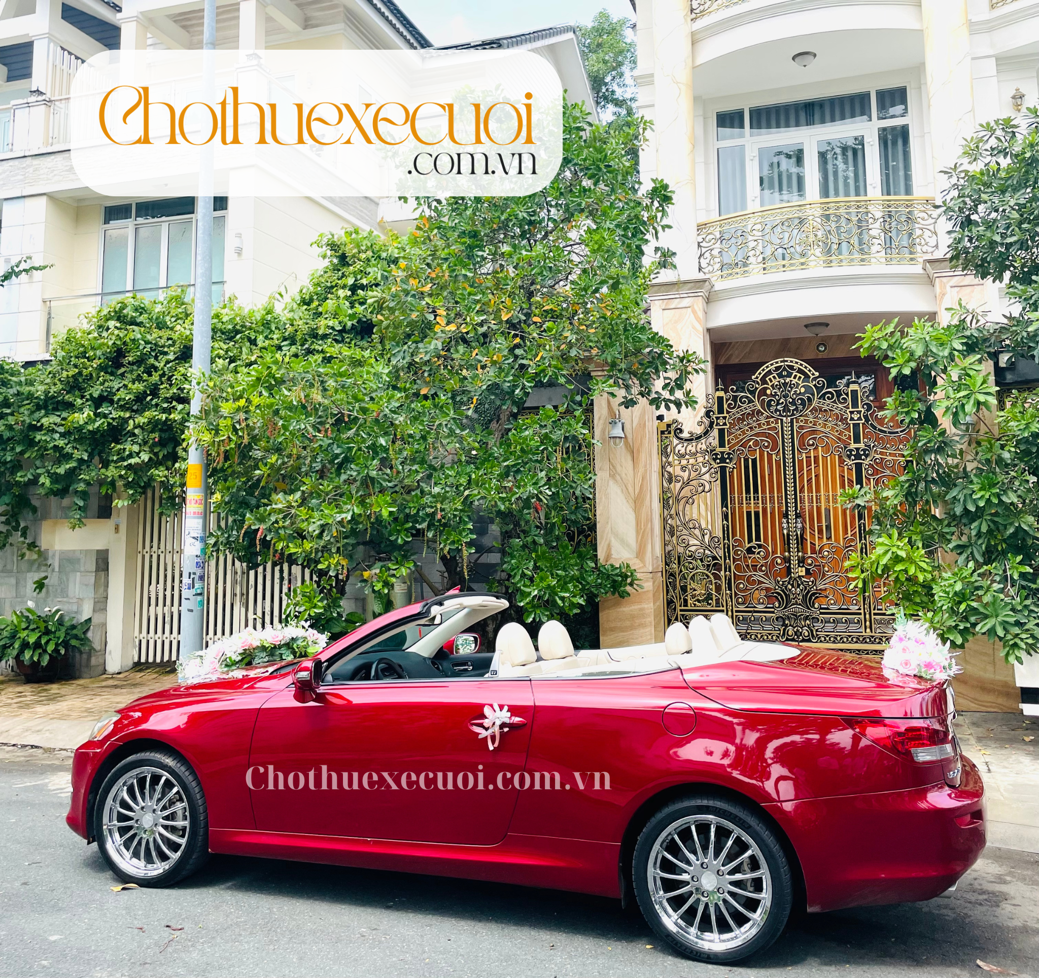 Xe cưới mui trần Lexus đỏ